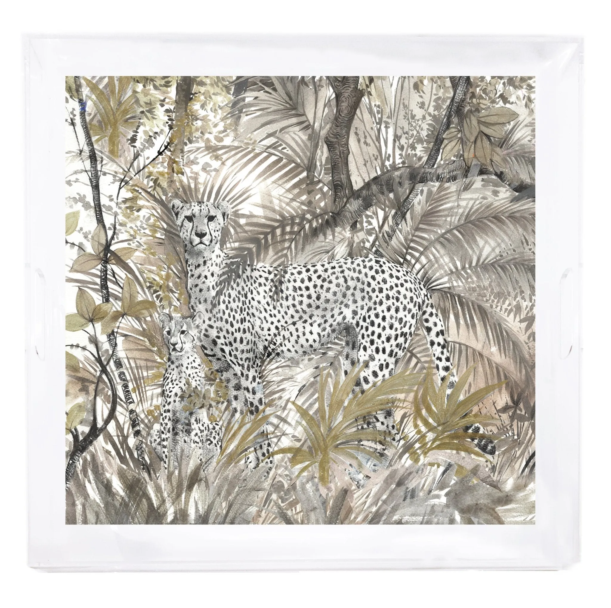 Arcadia Cheetah Beveled/Polished Acrylic 18"X18" Large Size Square ray