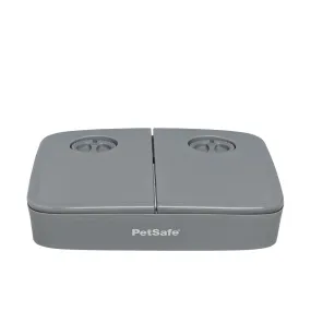 Automatic 2 Meal Pet Feeder