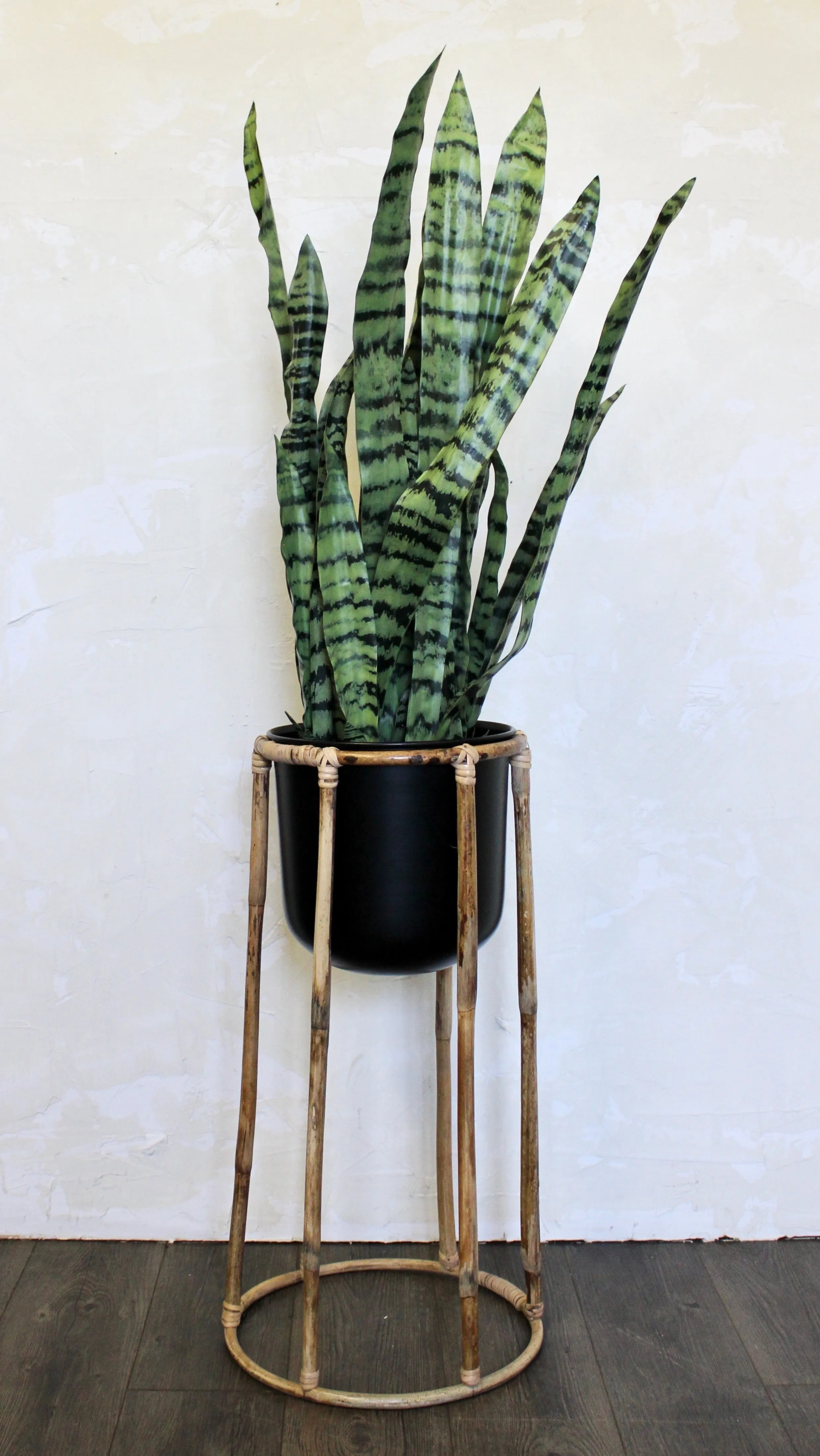 Boca Plant Stands