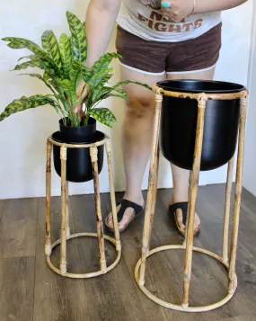 Boca Plant Stands