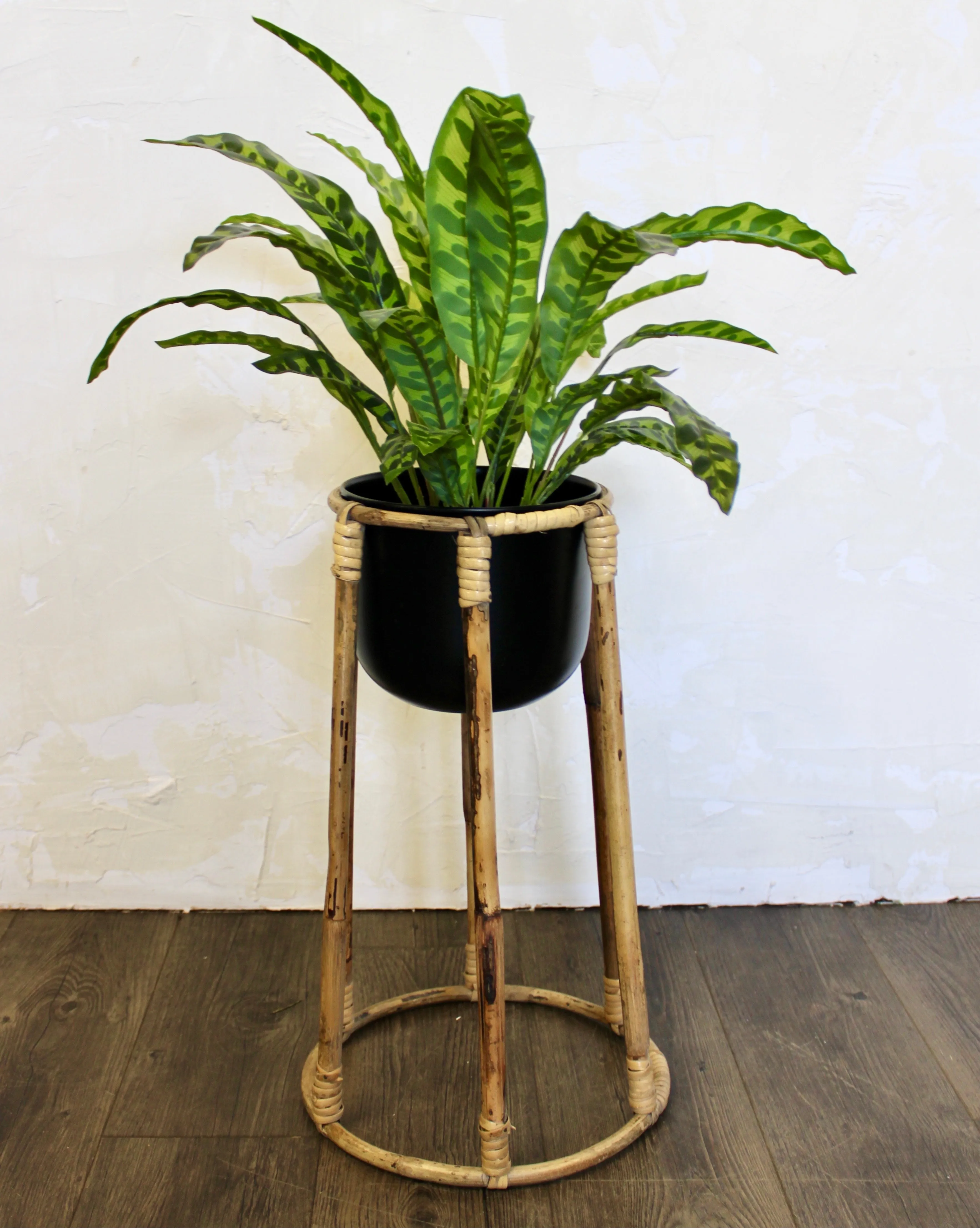 Boca Plant Stands