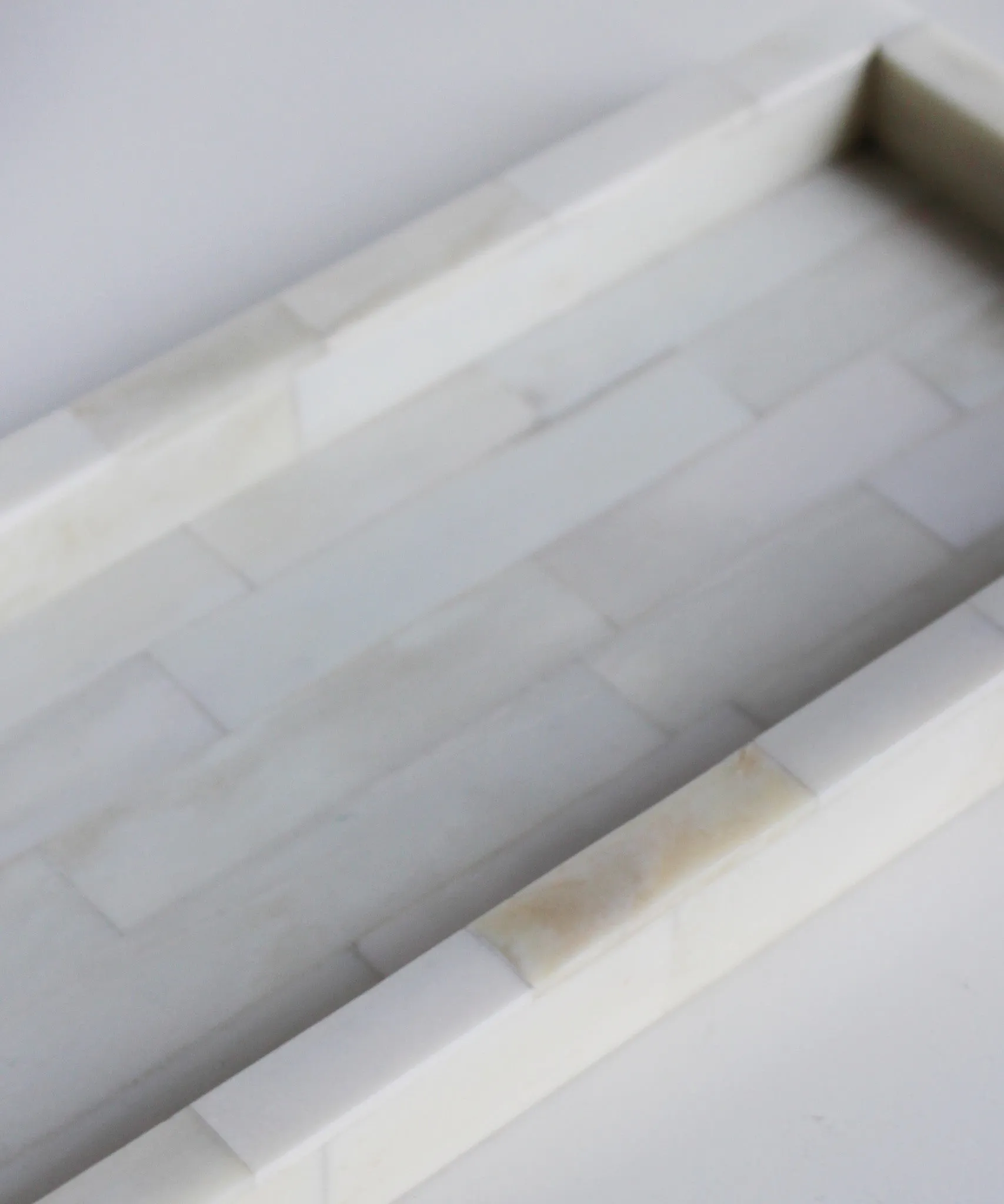 Bone Clad Tray