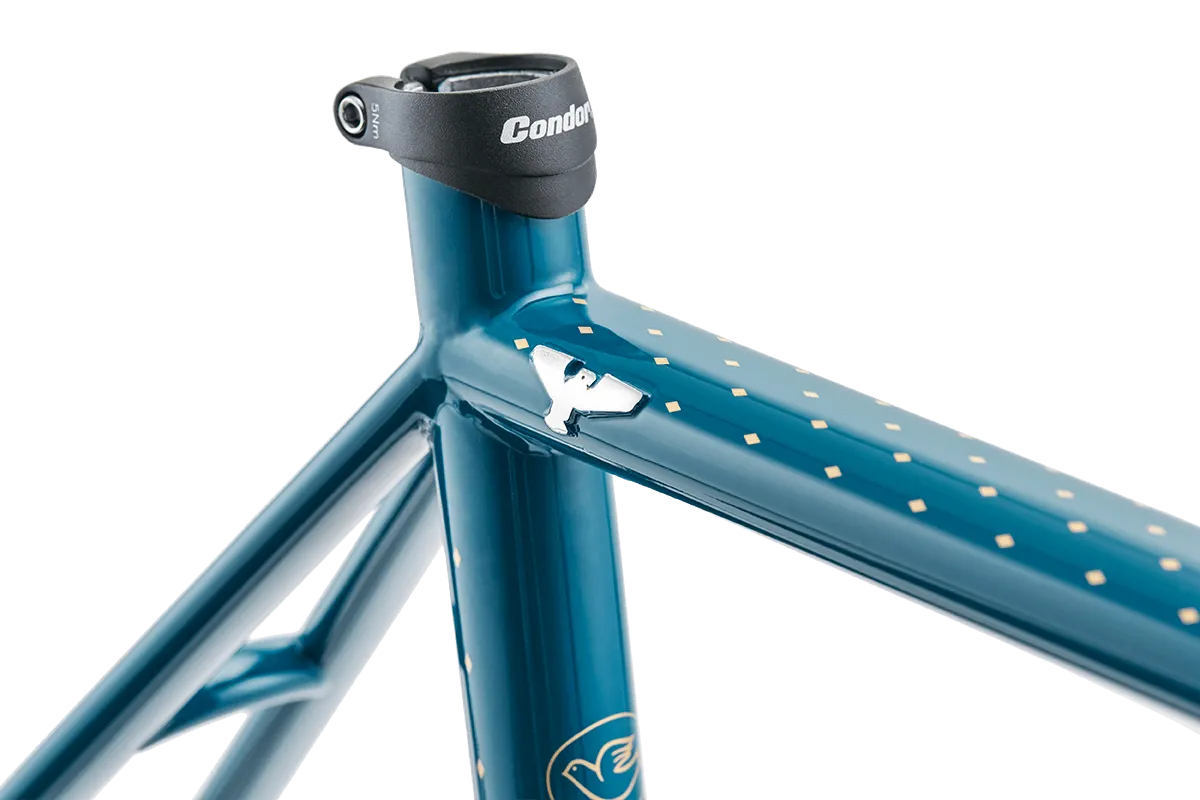 Condor Super Acciaio Disc Frameset