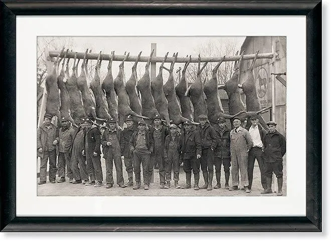 Deer Camp - Paper Print