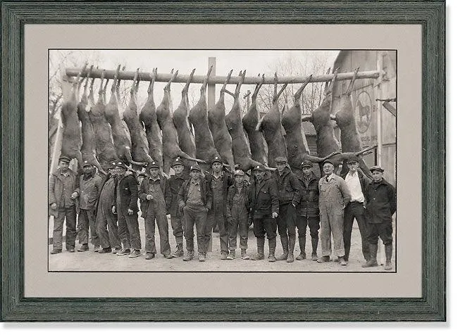 Deer Camp - Paper Print