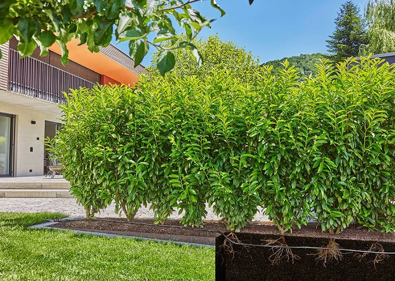 Gardena Drip Line 50m Starter Set (Hedge/Bush) - 13501