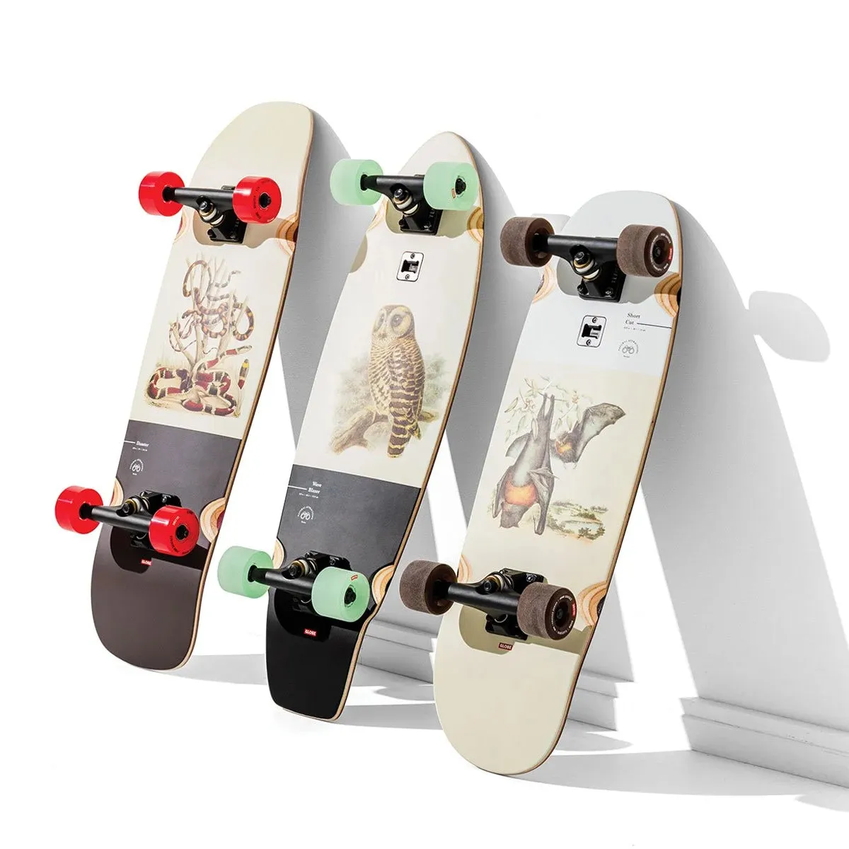 Globe Wave Blazer Hoot Owl 31" Skateboard Complete