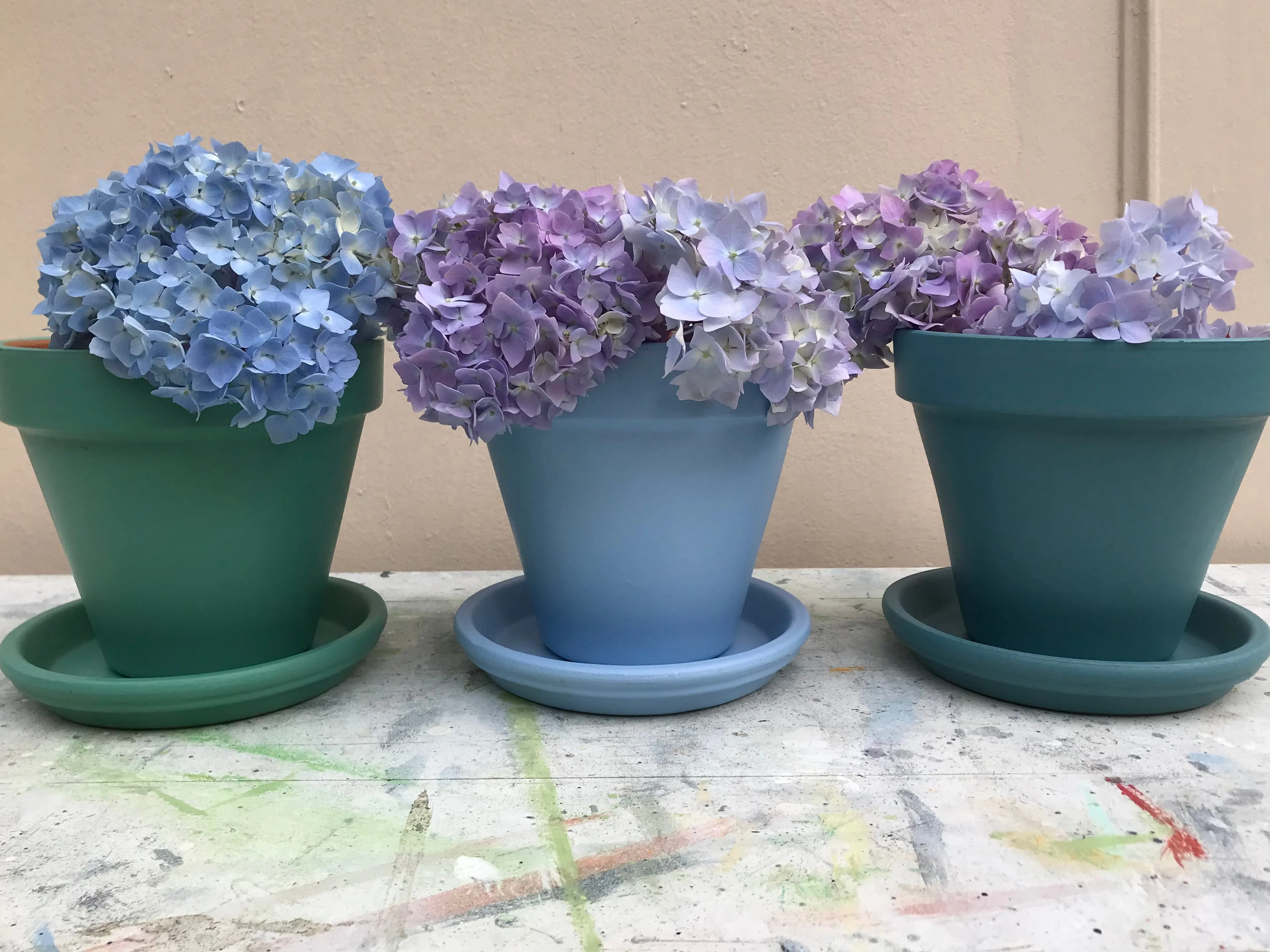Hand painted terracotta plant pots in your choice of colours indoor or outdoor