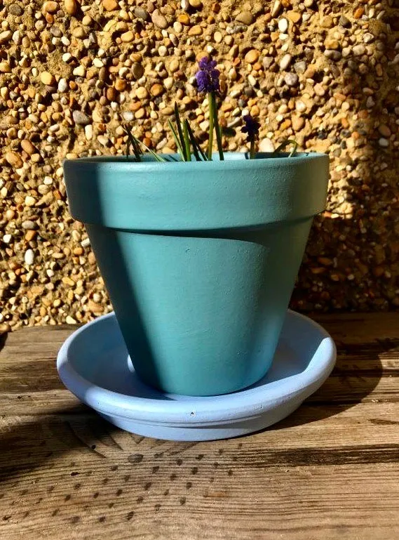 Hand painted terracotta plant pots in your choice of colours indoor or outdoor