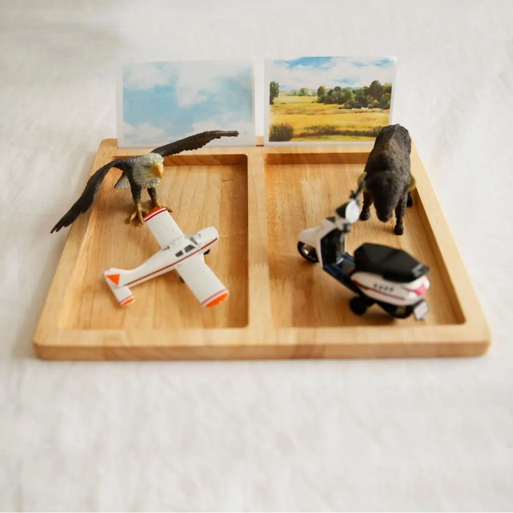 Montessori 2-part trays