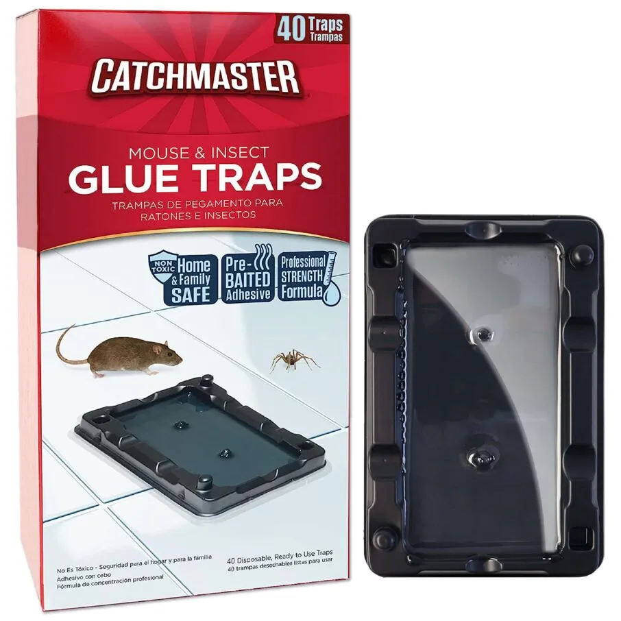 Mouse & Insect Glue Trays