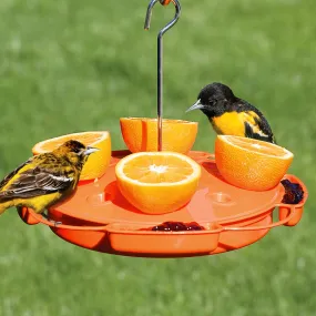 Ultimate Oriole Feeder