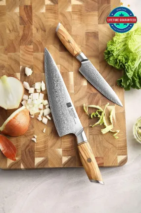 Xinzuo B37 2 Pcs Set Japanese Damascus Stainless Steel Kitchen Chef Utility Knives